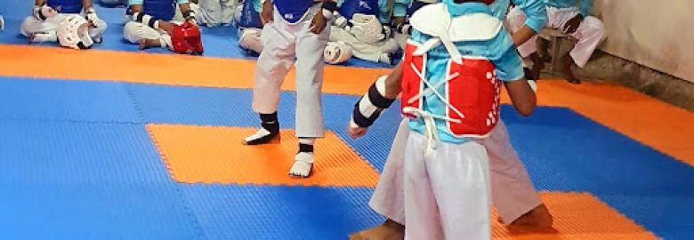 Gurukul Taekwondo Academy (Koparkhairane)